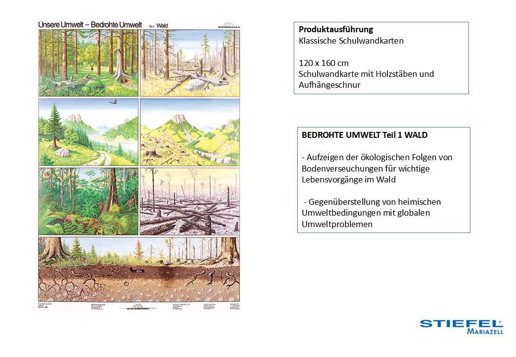 BEDROHTE UMWELT Teil 1 WALD