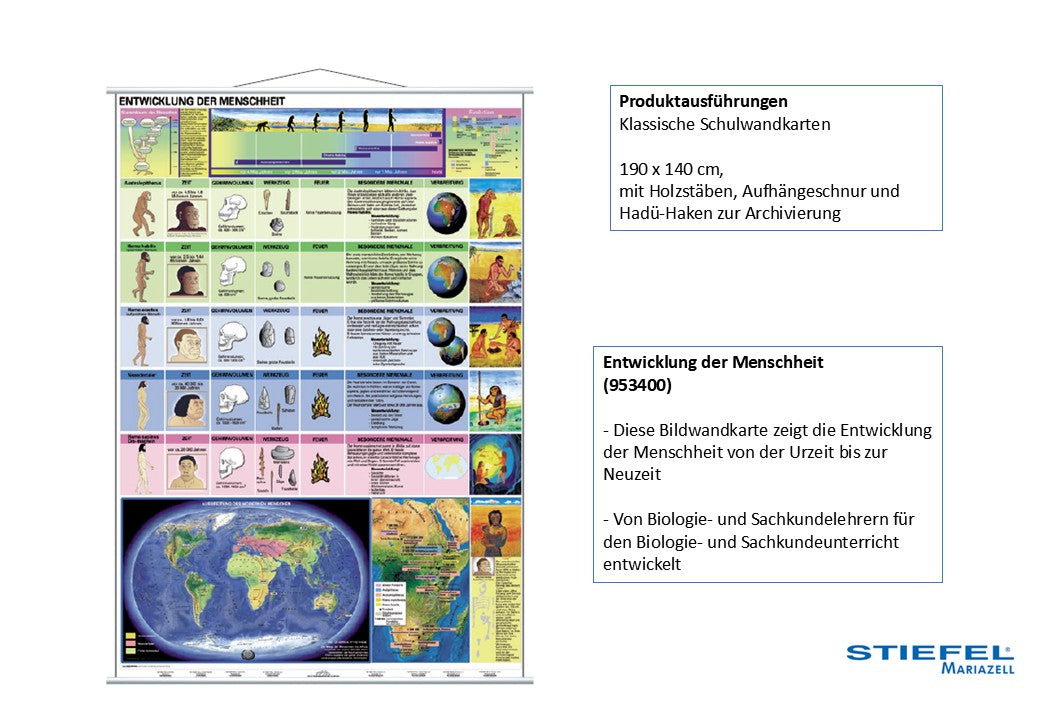 Entwicklung der Menschheit