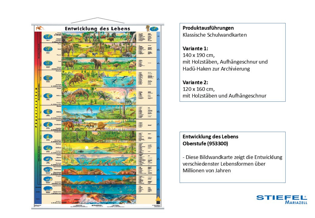 Entwicklung des Lebens Oberstufe