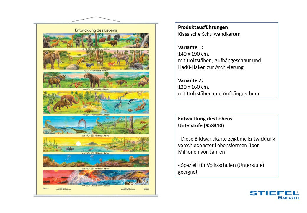 Entwicklung des Lebens Unterstufe
