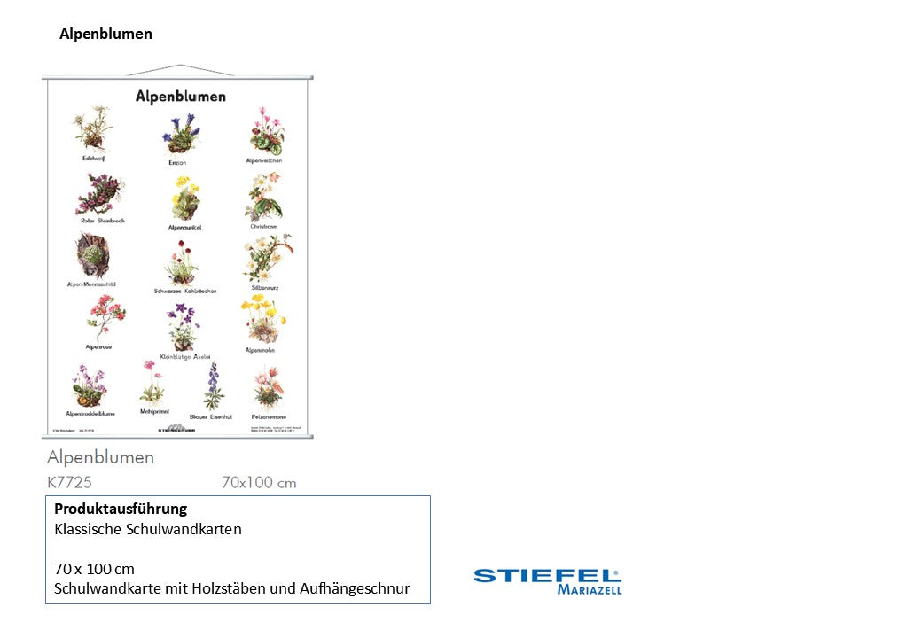 Alpenblumen