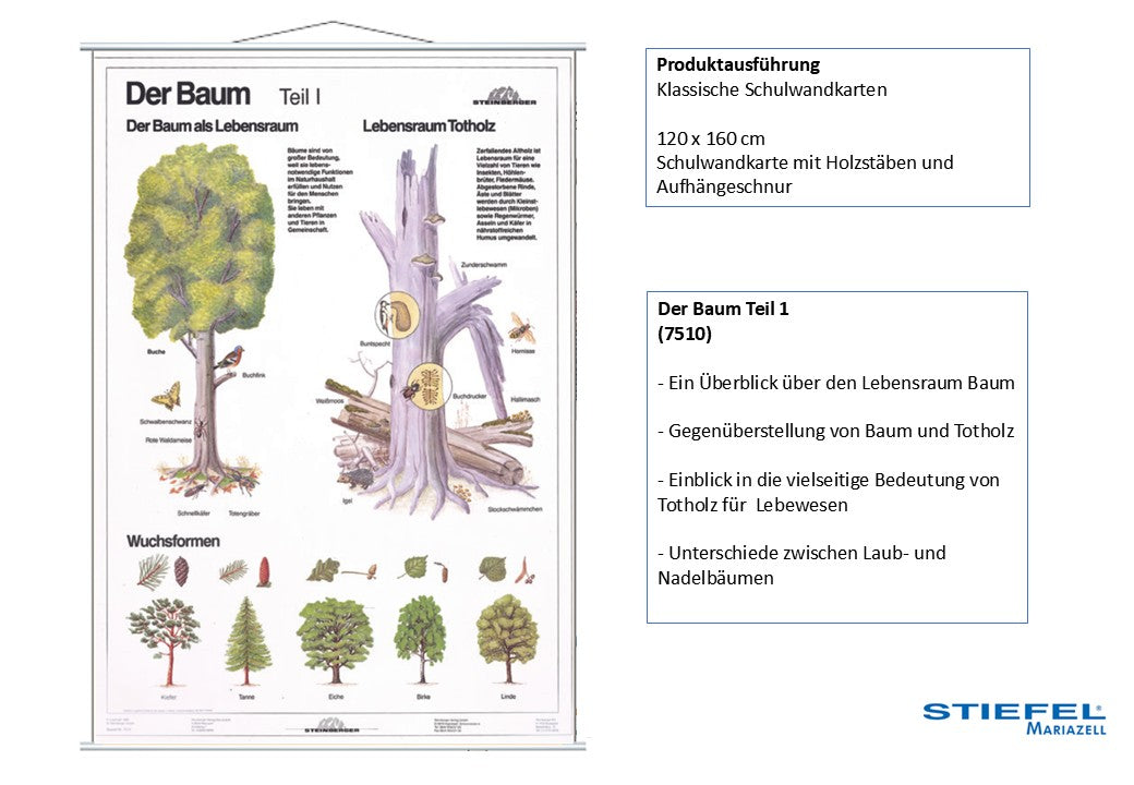 Der Baum Teil 1