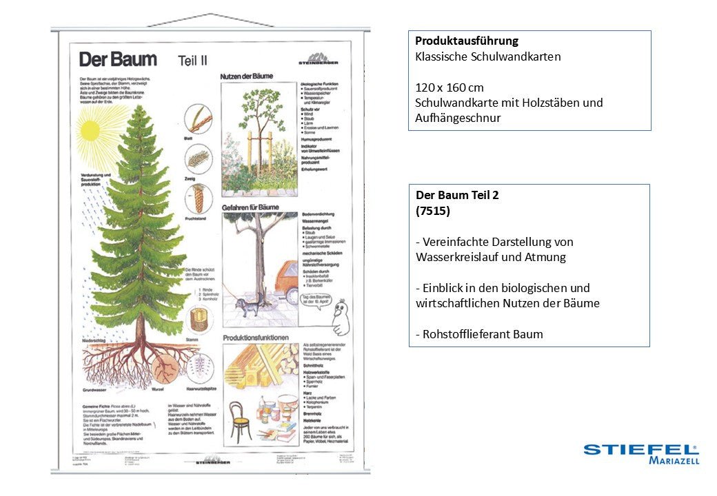 Der Baum Teil 2