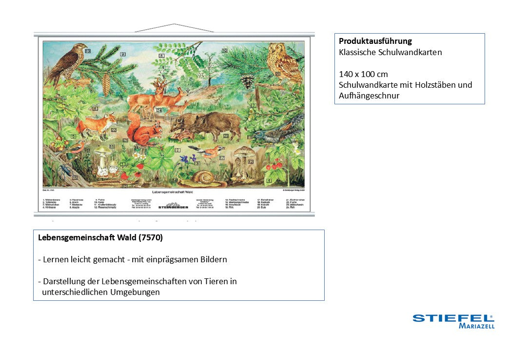 Lebensgemeinschaft Wald