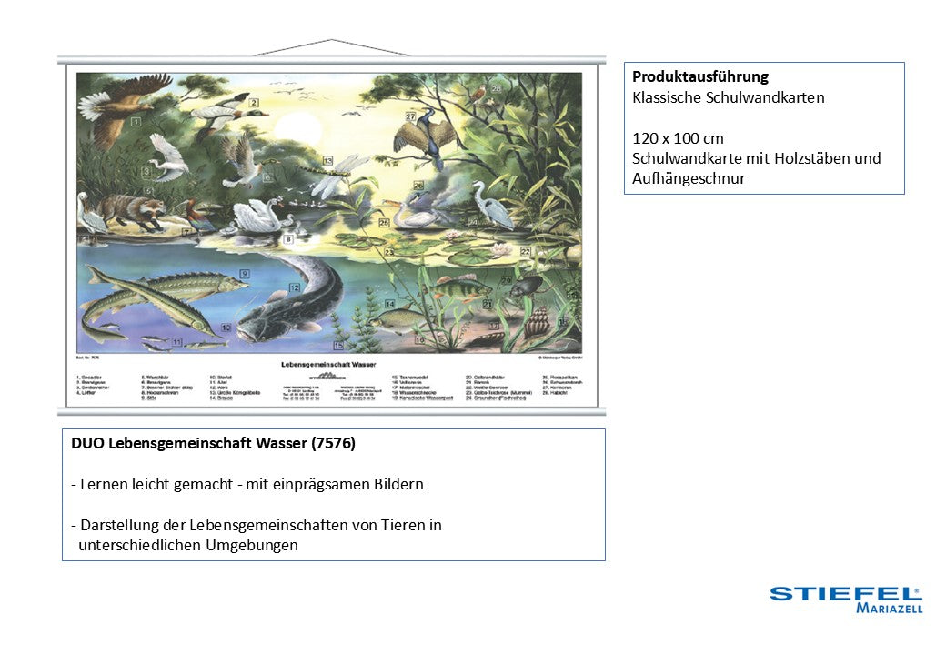 Lebensgemeinschaft Wasser