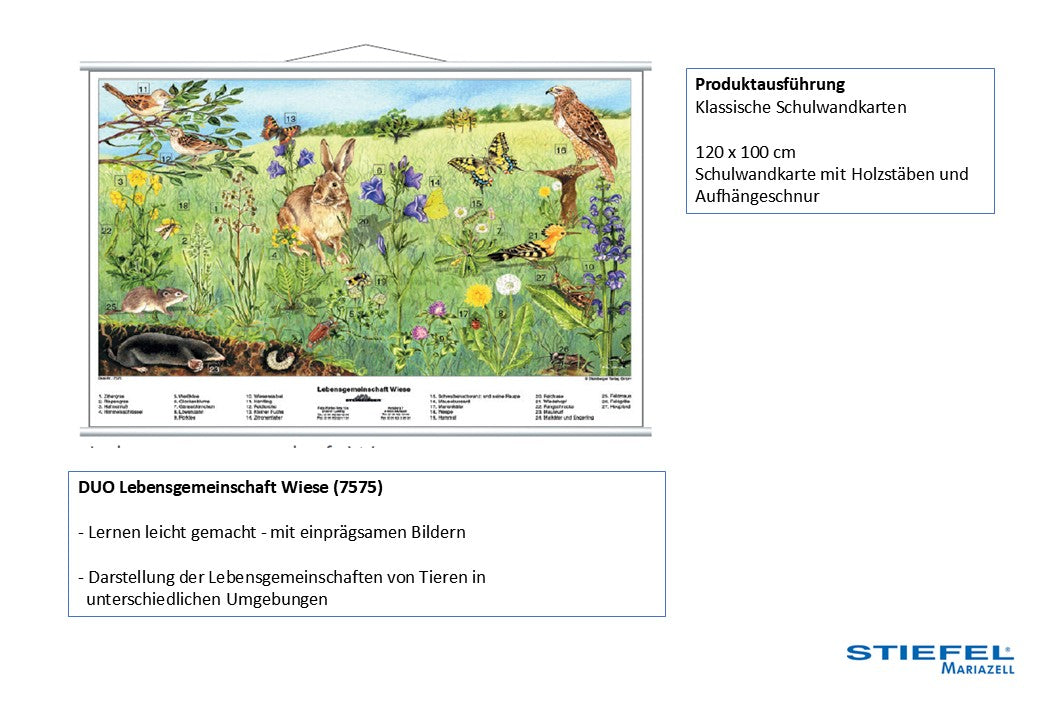 Lebensgemeinschaft Wiese