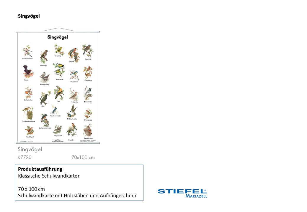 Singvögel