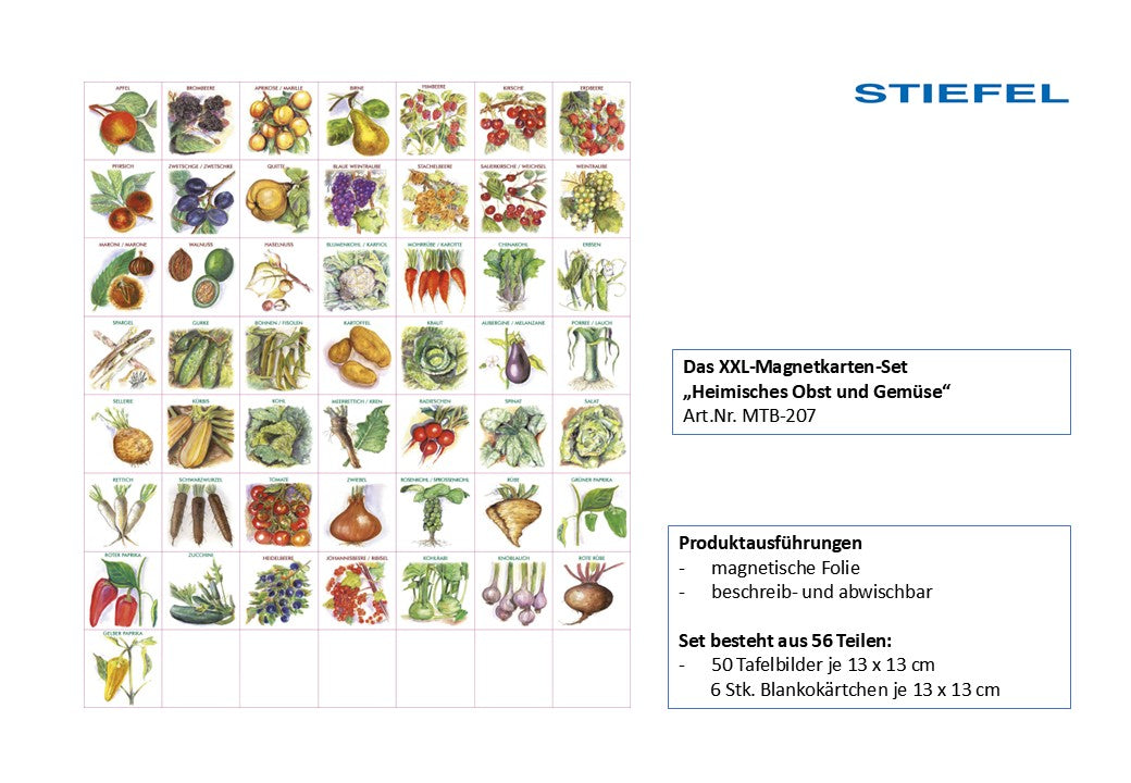 Das XXL-Magnetkarten-Set "Heimisches Obst und Gemüse"