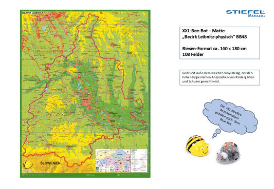XXL-Bee-Bot – Matte  „Bezirk Leibnitz-physisch“ BB48