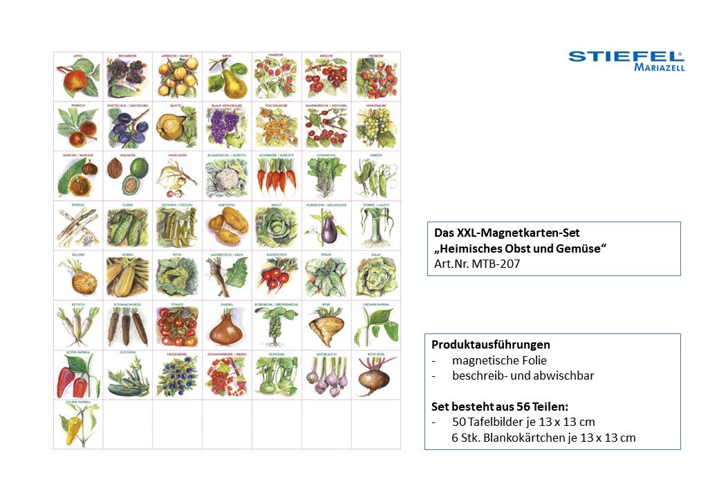 Das XXL-Magnetkarten-Set "Heimisches Obst und Gemüse"