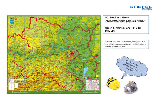 Bee Bot Matte Niederösterreich physisch (BB47)